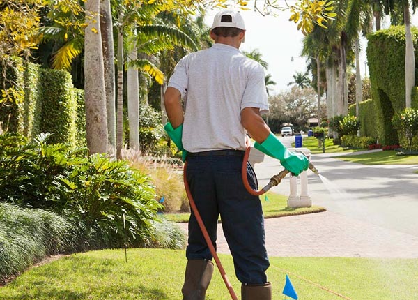About Boissevain VA Pest Control